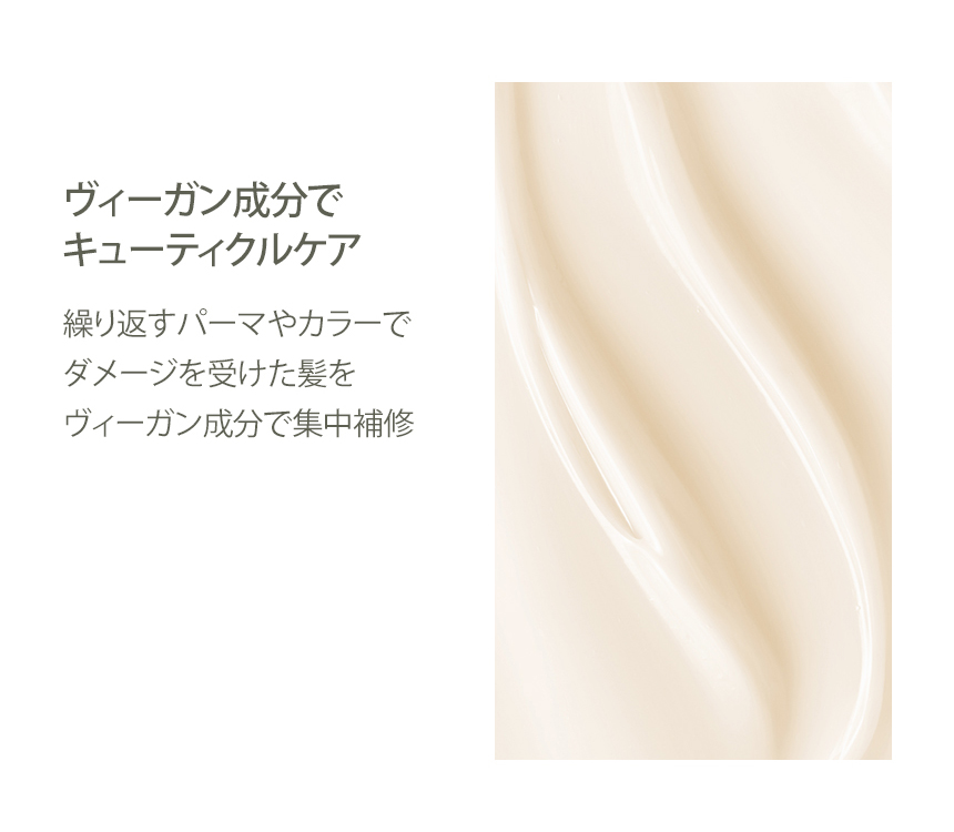 nesh ソイ プロテイン トリートメント 250ml 【 ダメージケア 】[ インバス ヘアトリートメント ヘアケア ダメージヘア 髪 乾燥 たんぱく質 タンパク質 ヴィーガン ネシュ ネシ ネッシュ 韓国コスメ ] の画像